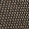 Black Walnut