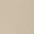 Warm Beige
