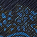 SPRING NAVY