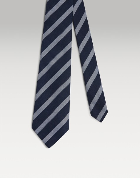 Silk Wide Stripe Woven Tie 